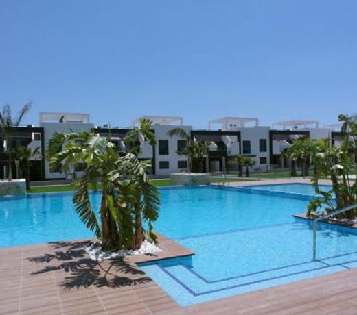 Oasis Beach X app 25