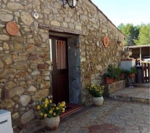 La collina delle ginestre