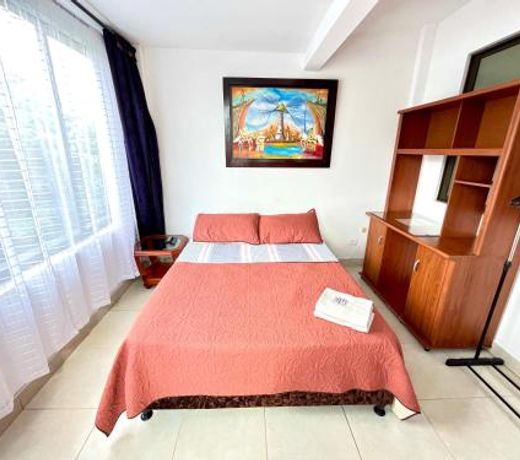 Lindo Apartaestudio Centro Pereira