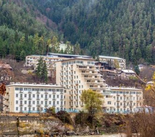 Apartment Borjomi