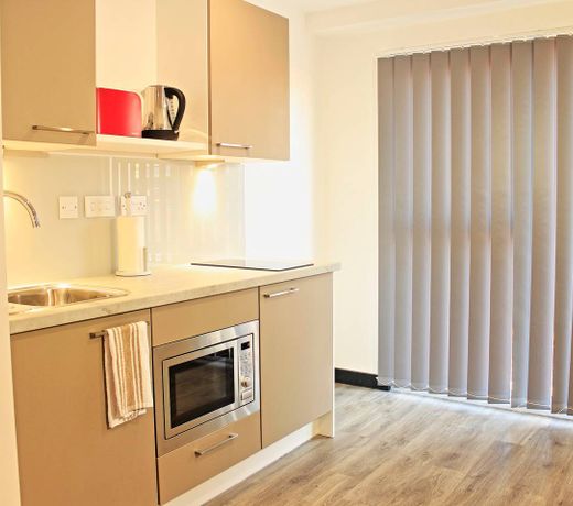 Spacious studio in central Luton featuring extra facilities (Apartment 462)