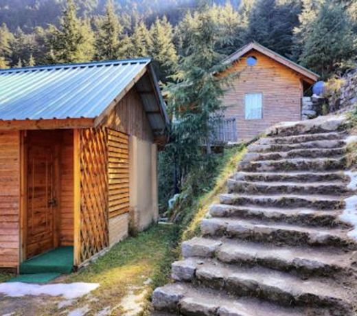 Mid Conifer Cottage