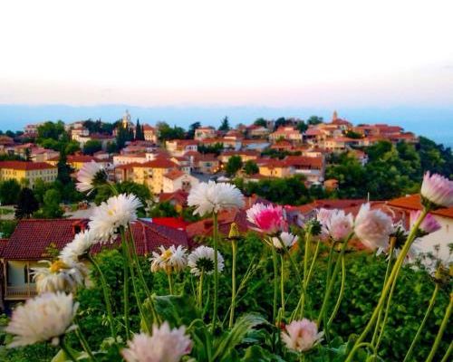 Sighnaghi Inn - Сигнахи - фото 4