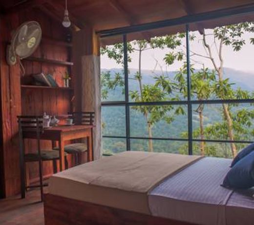 Tree Houses by Jungle River