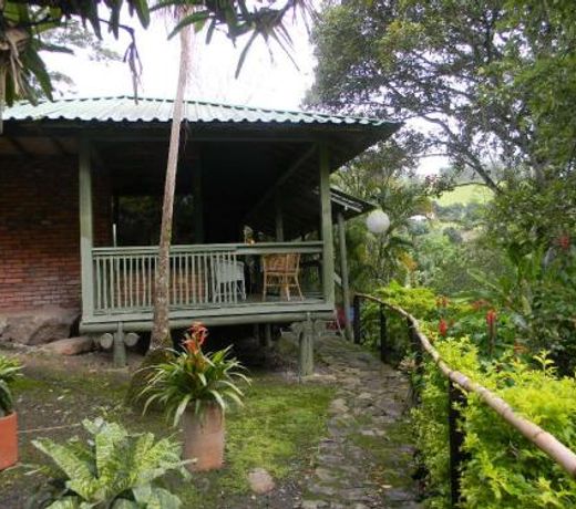 La Trini