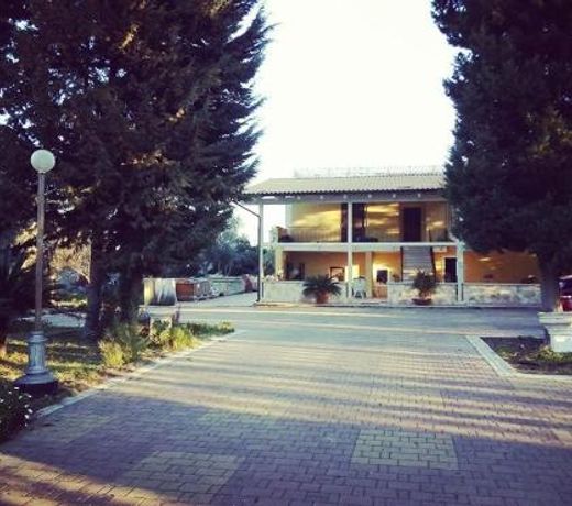 B&B Verdeoliva
