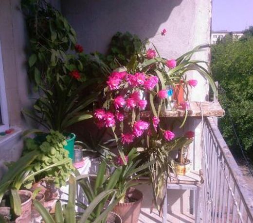 ÐÐ°Ð±ÑÑÐºÐ¸Ð½ ÑÑÑ Ð² Ð Ð£Ð¡Ð¢ÐÐÐ
