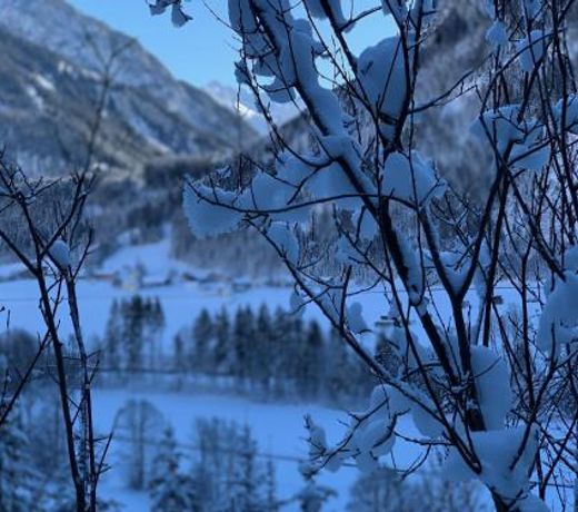 Alpfee Lechtal