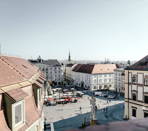 Zelný trh 42