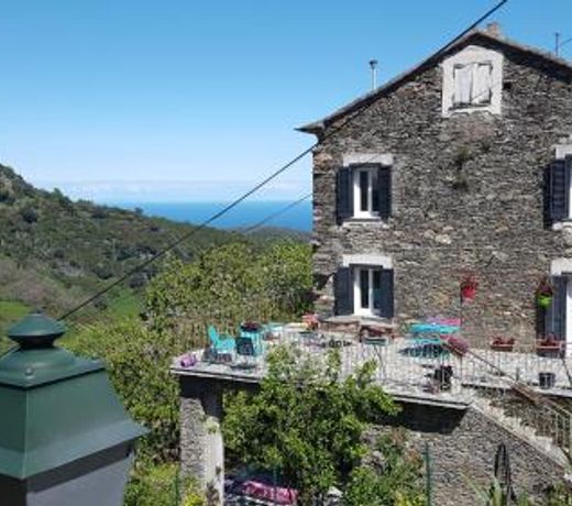 English Club in Corsica B&B