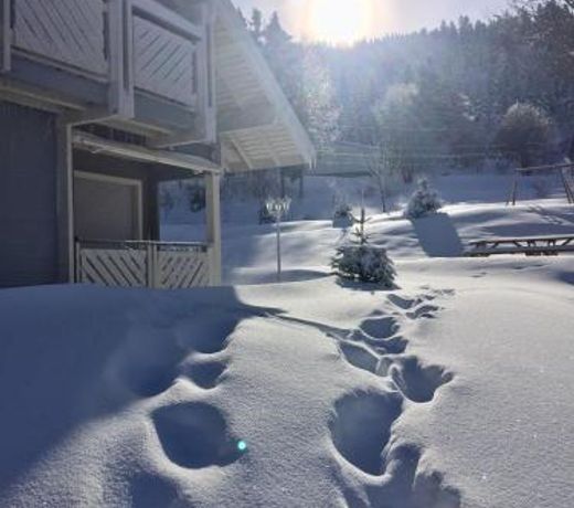 Chalet Le Flocon Bleu - Mauselaine avec vue sur le Lac de Gérardmer