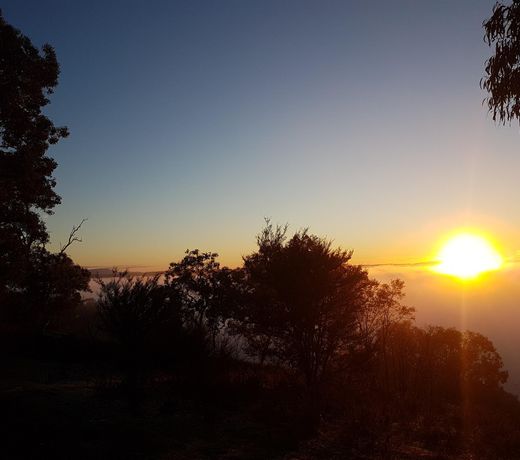 Sunrise Bush Retreat