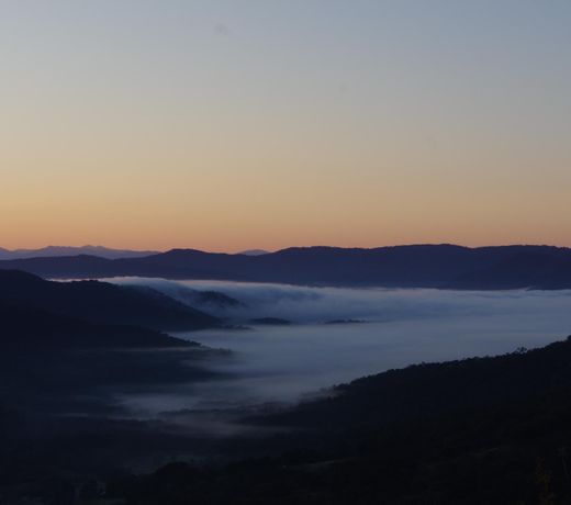 Sunrise Bush Retreat