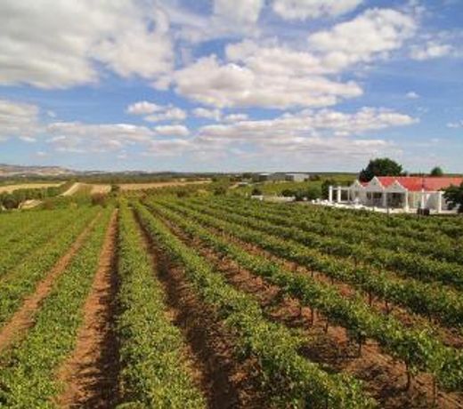 1837 Barossa Luxury Vineyard Cottages