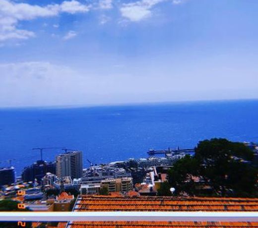 New Monaco Penthouse Stunning sea view