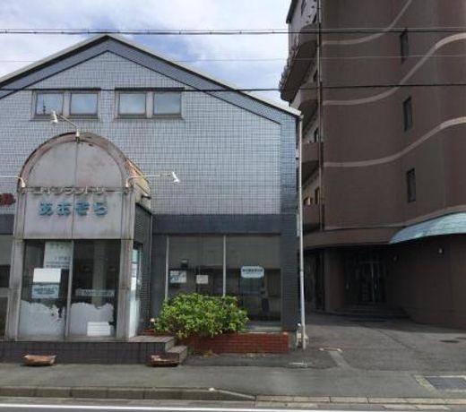 Business Hotel Minami
