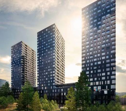 aja Zurich