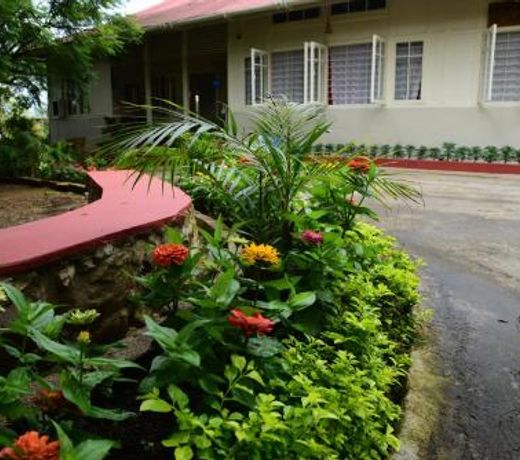 Mid Pine Home Stay
