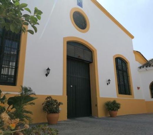 Entre Bodegas Jerez
