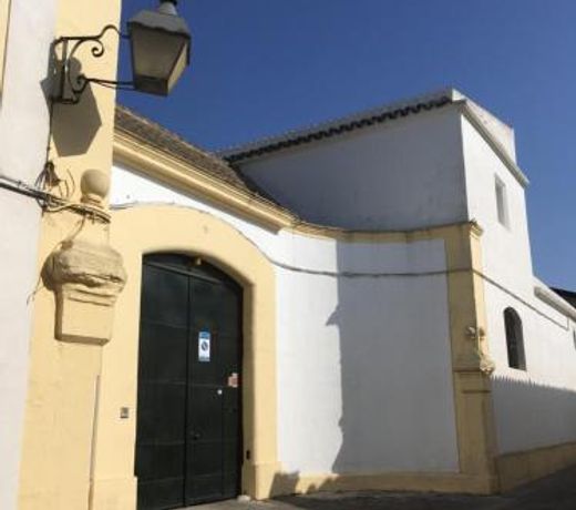 Entre Bodegas Jerez