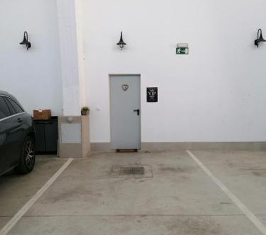 Entre Bodegas Jerez