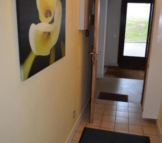 Les Dryades L'Epicéa