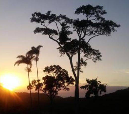 Daintree Holiday Homes - Yurara