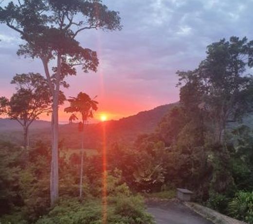 Daintree Holiday Homes - Yurara
