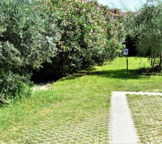Villaggio Naif Girasole