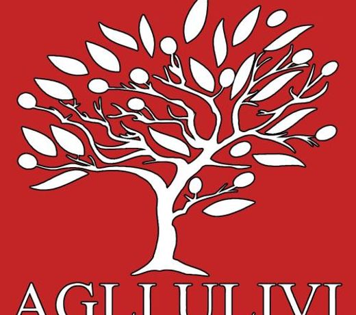 Appartamento Agli Ulivi