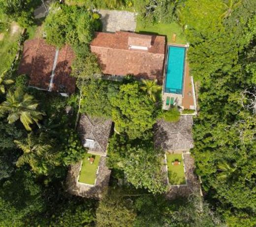 The Jungle Loft Galle
