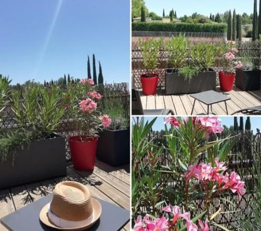Sweet Home studio Aix en Provence, terrasse, piscine, resto,