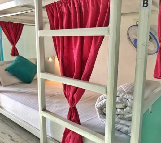 goSTOPS Rishikesh, Tapovan