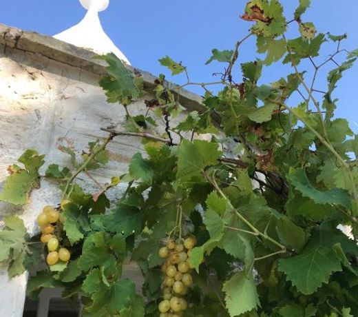 Trulli Storie di Puglia - Private Pool