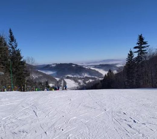 44 ÅlÄska