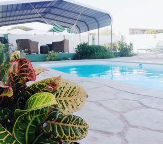 Jade's Oasis