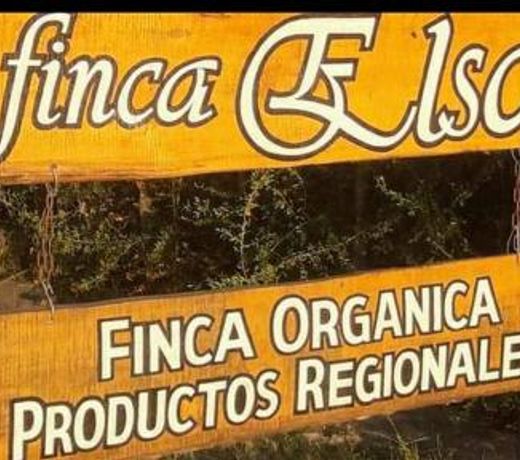 Finca ELSA