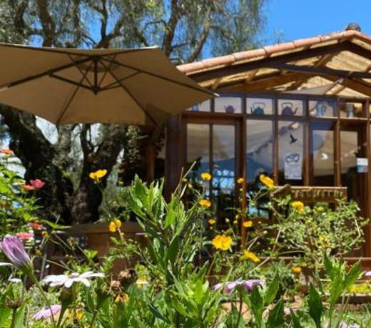 Finca La Vispera