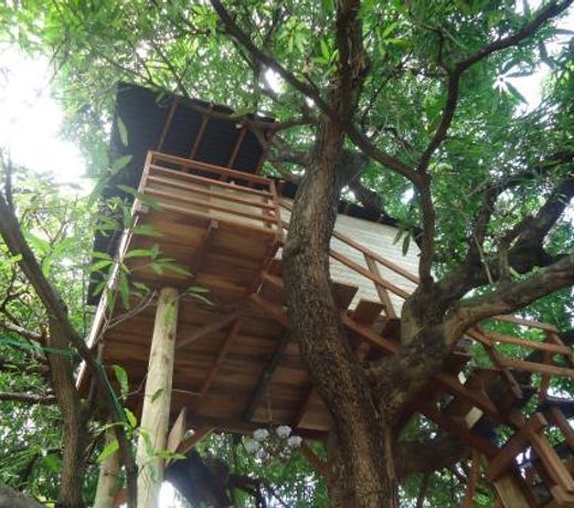Casa na Ãrvore