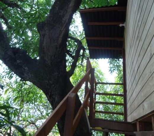 Casa na Ãrvore