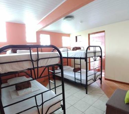 Hotel Roble Urbano