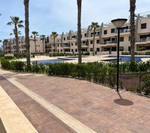 Playa Elisa Bay app 411