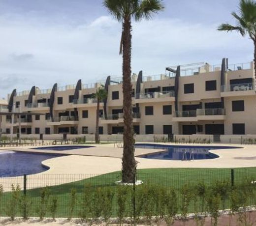 Playa Elisa Bay app 411