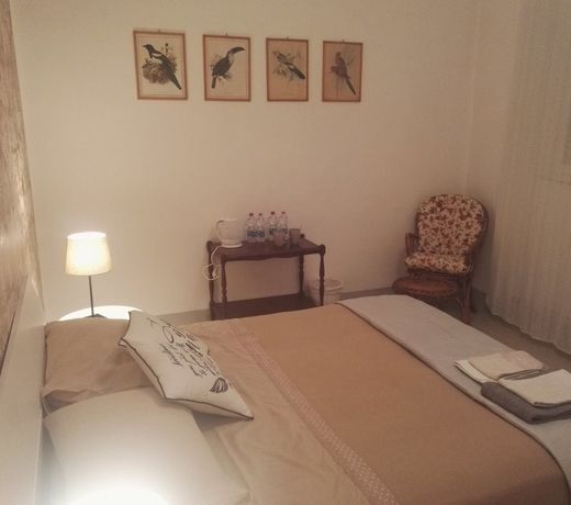 Camere Mazzini 49