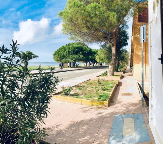 Dreams by the sea