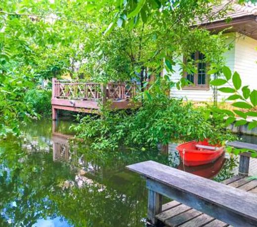 à¸à¹à¸²à¸à¸ªà¸§à¸à¸«à¸¡à¸·à¹à¸à¸à¸¸à¸à¸à¸²à¸«à¸±à¸§à¸«à¸´à¸