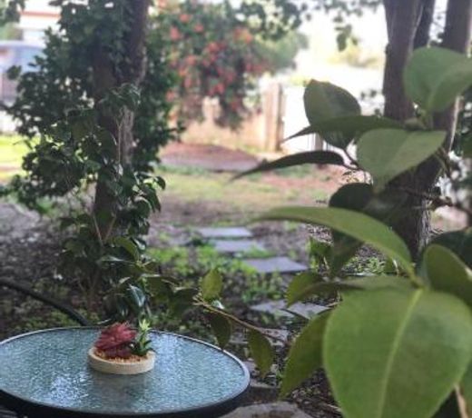 Olive's Cottage