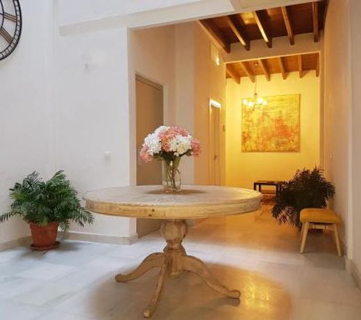 Casas de Sevilla - Casa Sevillana Harinas26