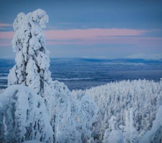 AlppitÃ¤htikeskus as 4