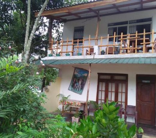 Ella Forest Eco View